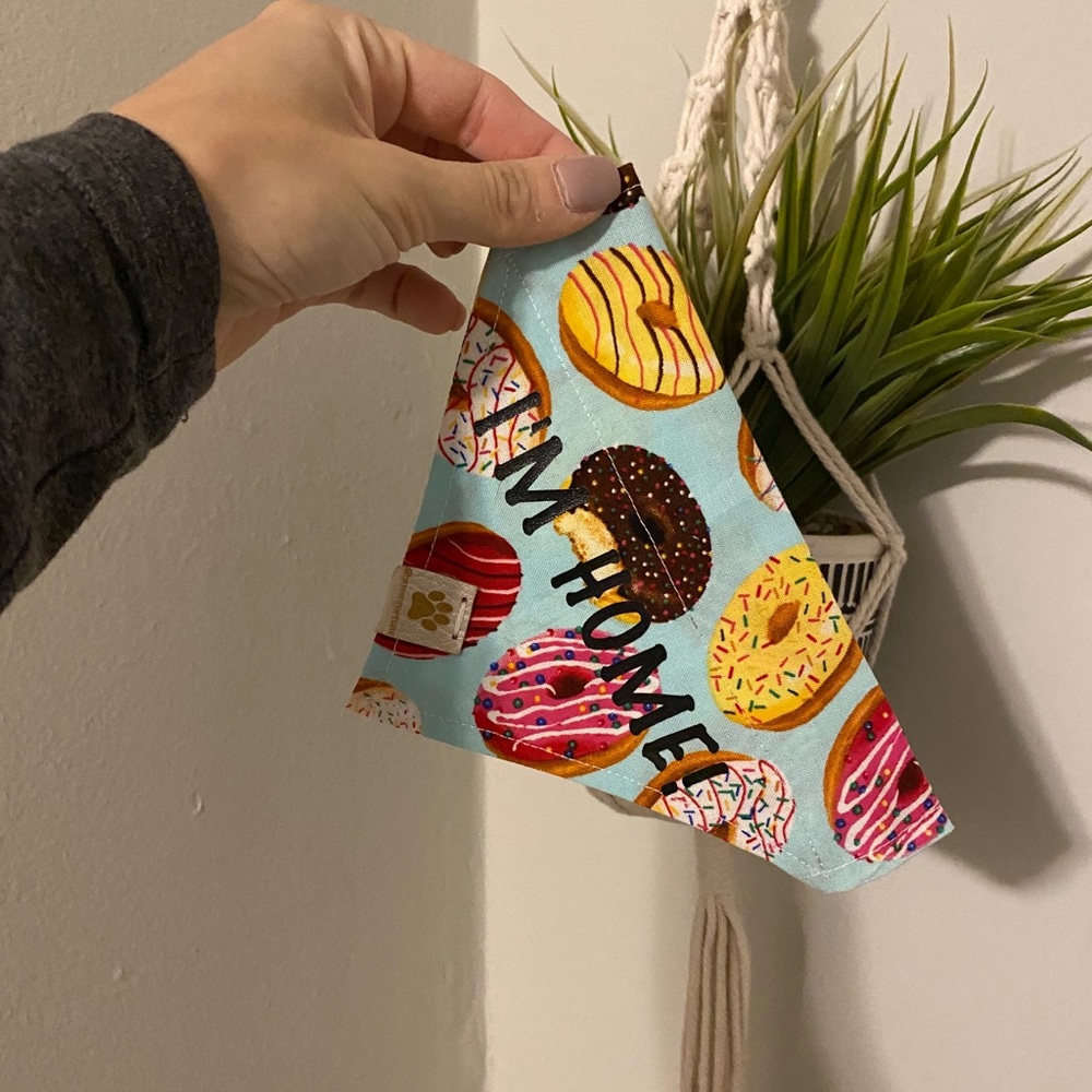 “I’m home” donut dog bandana